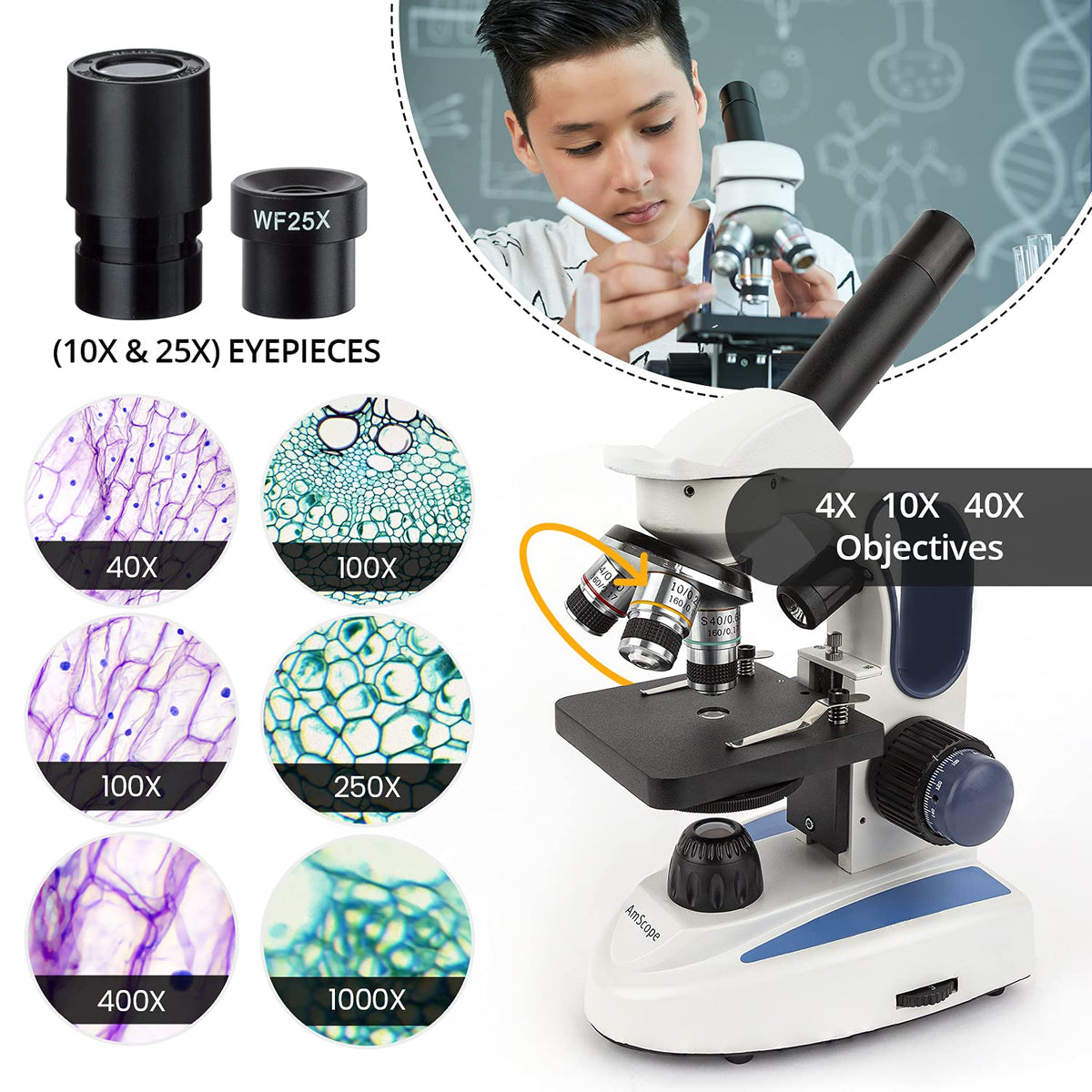 AmScope five magnification levels up to 1000X for detailed viewing.