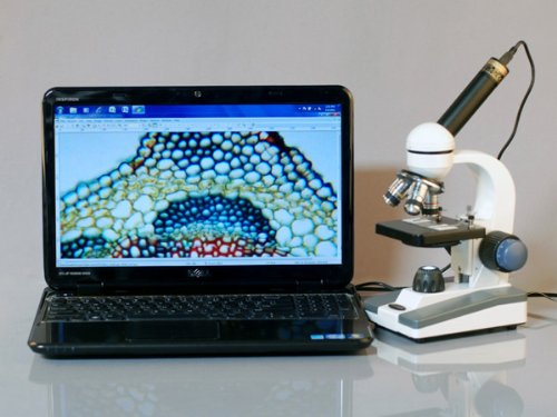 AmScope five magnification powers up to 1000x for versatile observation.