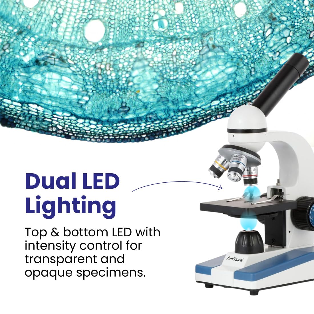 AmScope M150C sturdy all-metal frame for classroom durability.