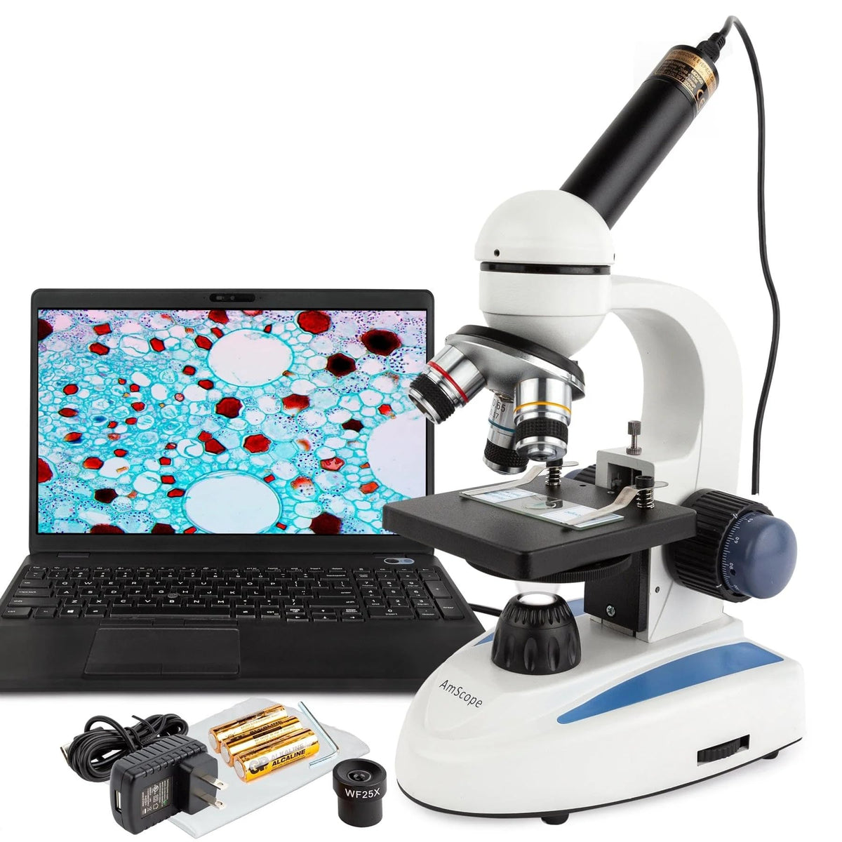 AmScope M158 360-degree rotating head for flexible classroom demonstrations.