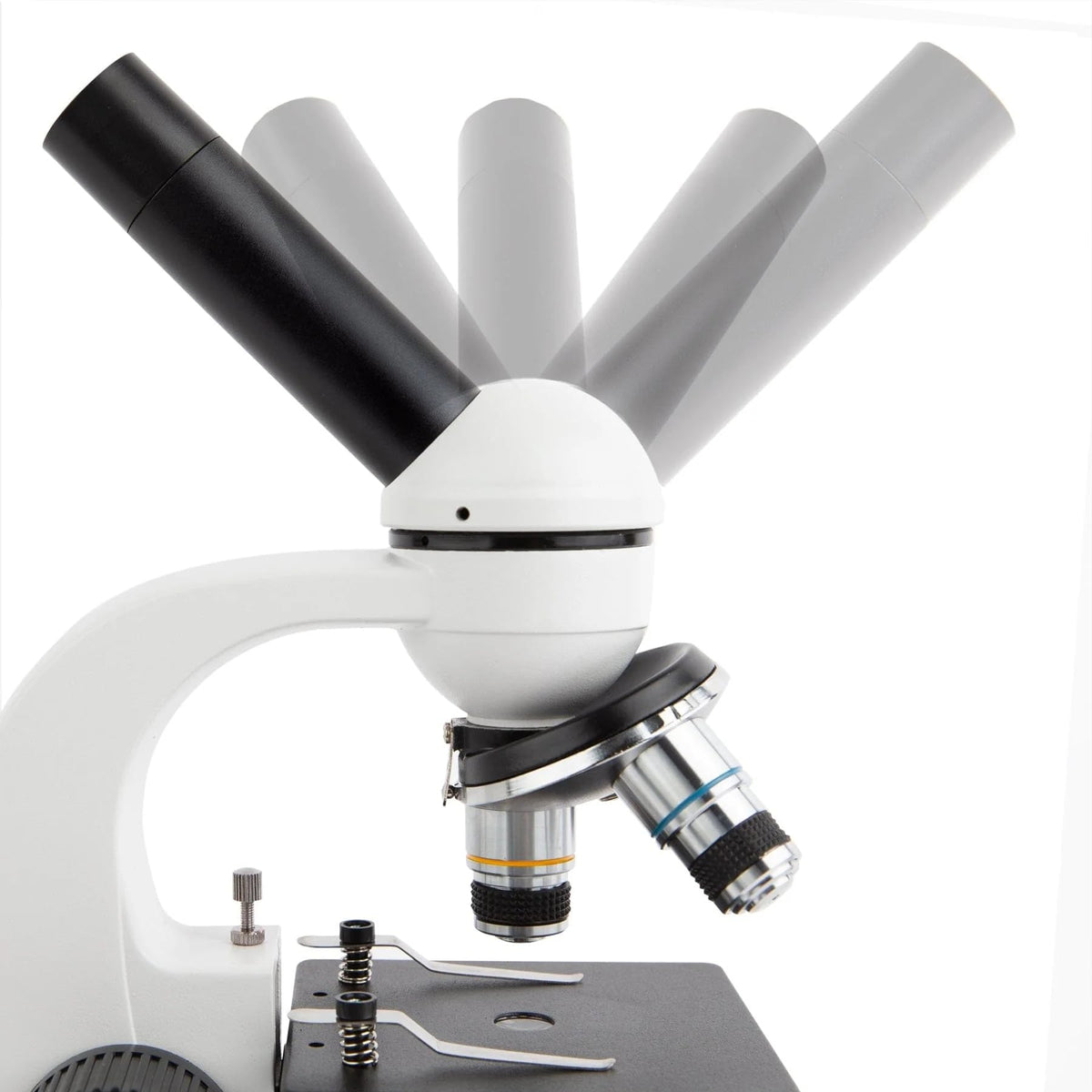 AmScope M158 condenser lens with adjustable diaphragm for clear views.