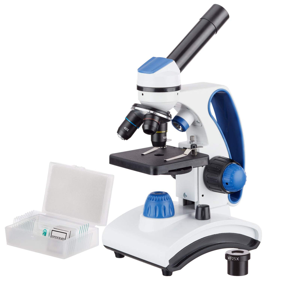AmScope M162C-2L-PB10 microscope front view for classroom use