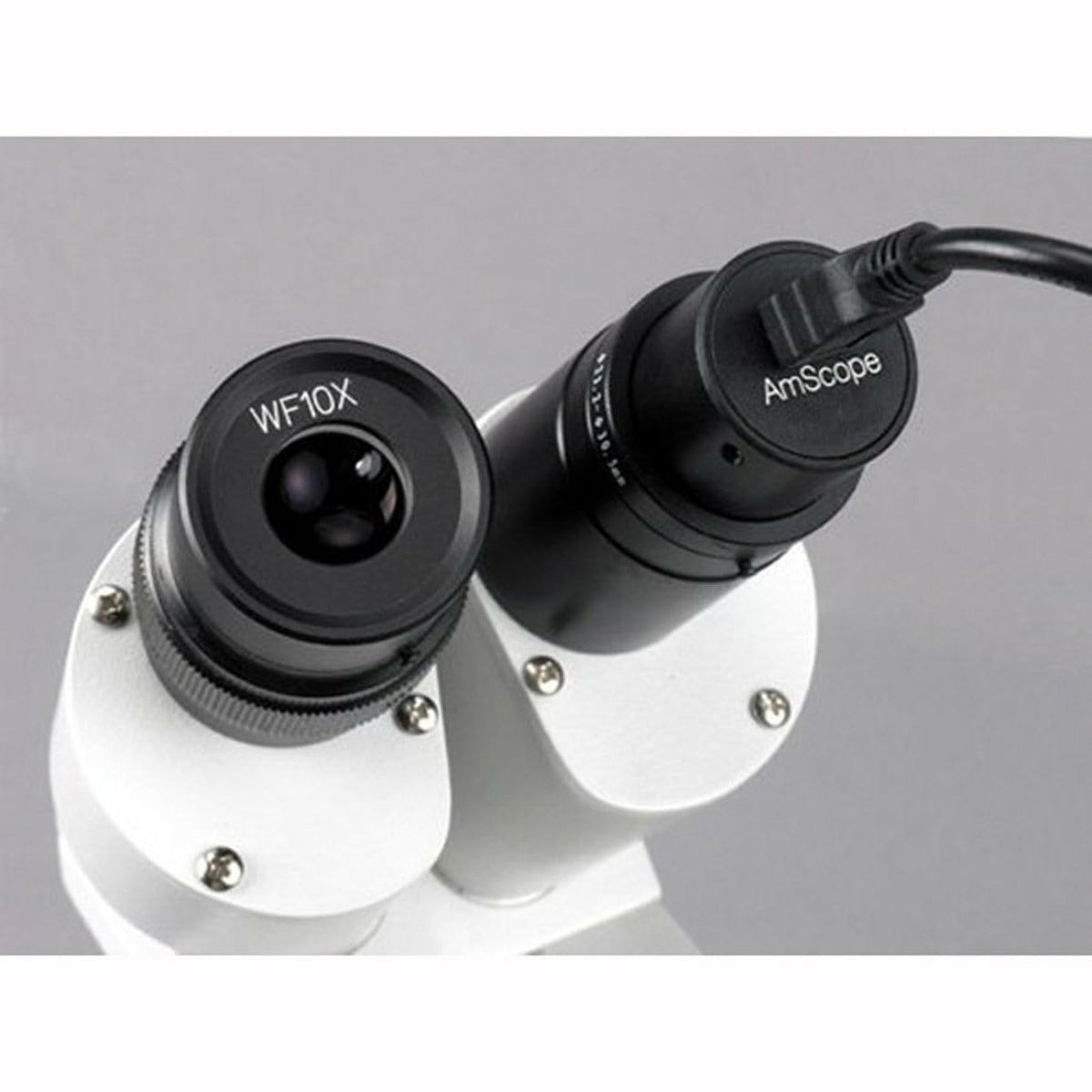 Calibration slide included with MD500 for precise software measurements