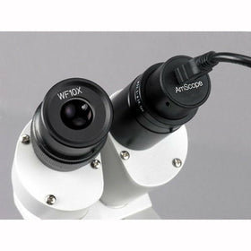 Calibration slide included with MD500 for precise software measurements