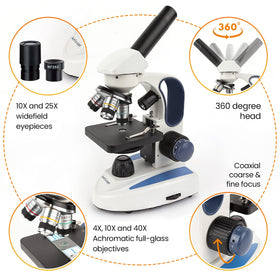 AmScope rotating monocular head enables flexible observation from multiple angles.