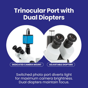 AmScope SM-3T ambient lighting illuminates specimens without batteries.