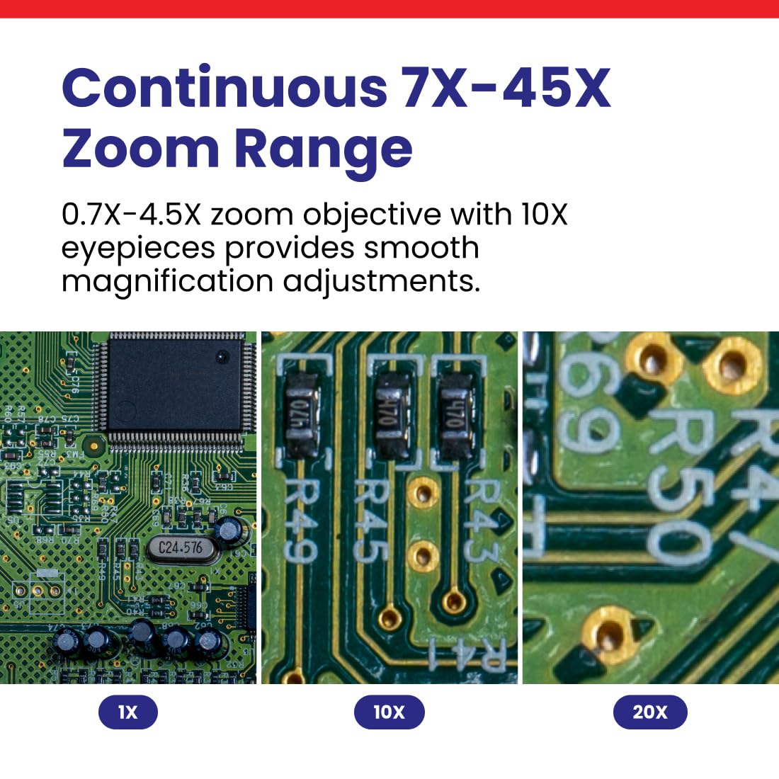 AmScope SM-3T 10x eyepieces provide clear wide-field viewing.