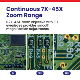 AmScope SM-3T 10x eyepieces provide clear wide-field viewing.