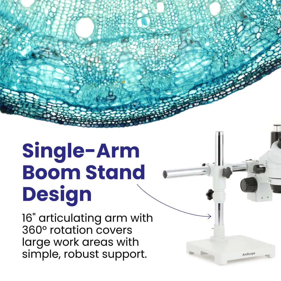 AmScope SM-3T zoom objective 0.7x-4.5x expands magnification range.