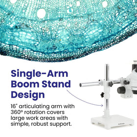 AmScope SM-3T zoom objective 0.7x-4.5x expands magnification range.