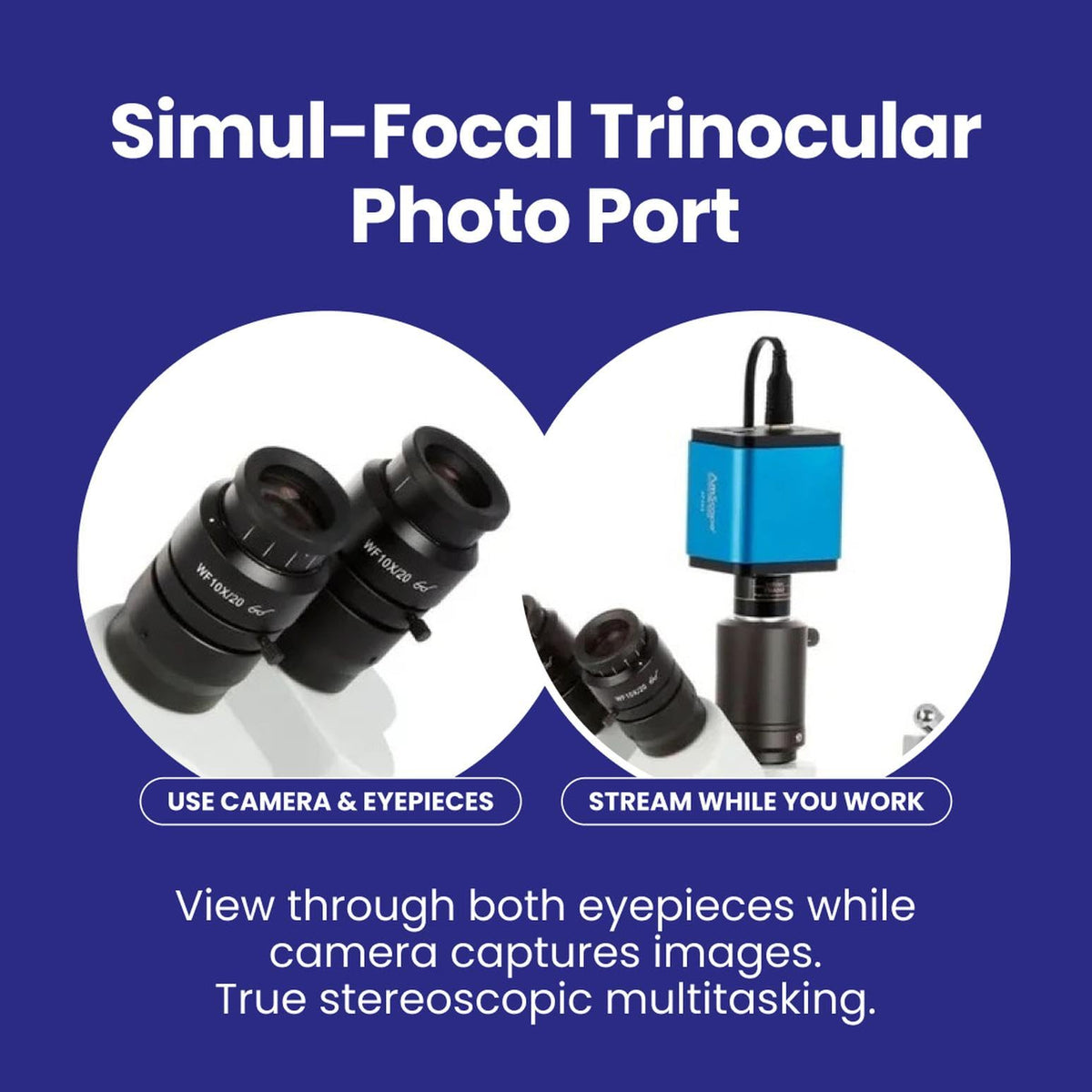 AmScope SM-4NTP 3D boom stand allows flexible head positioning.
