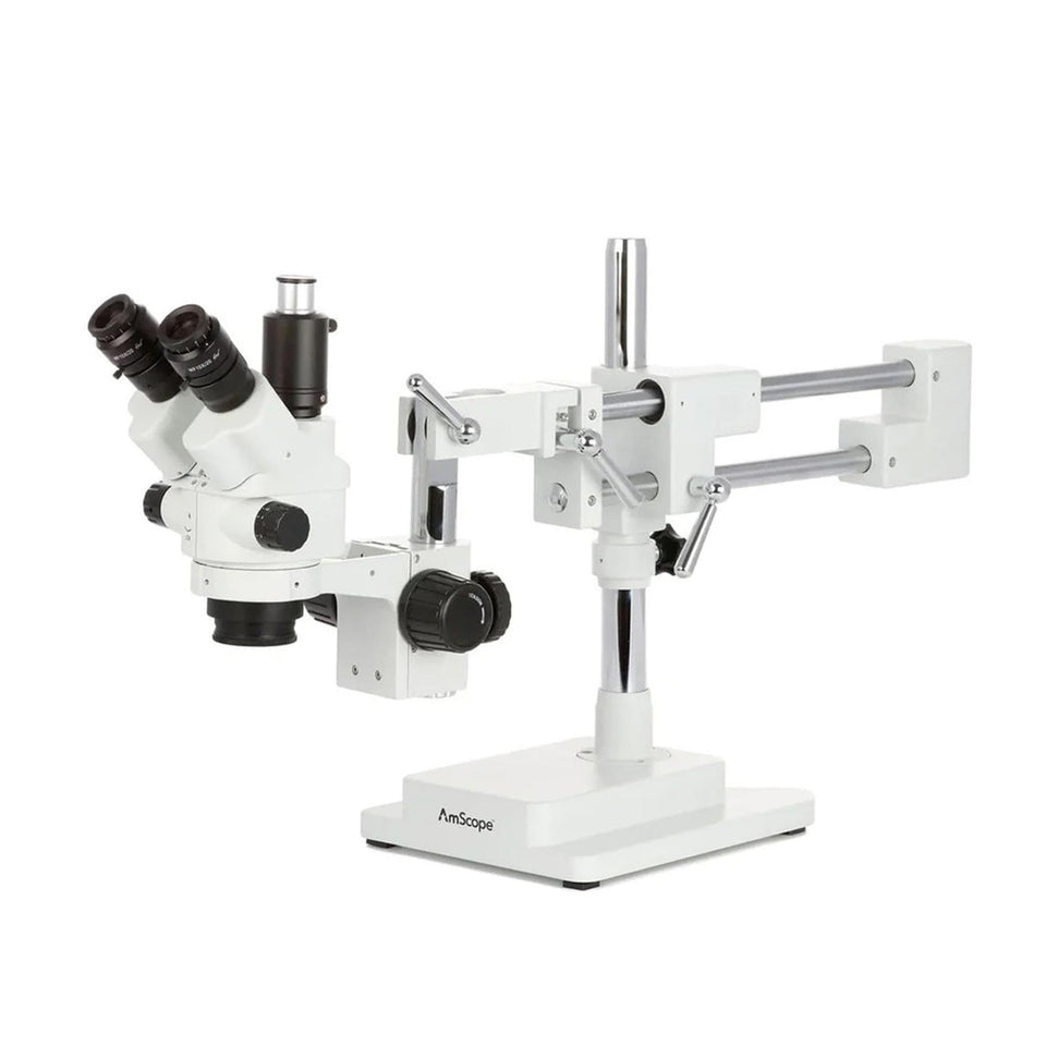 AmScope SM-4NTP trinocular view for hands-free capture and observation.