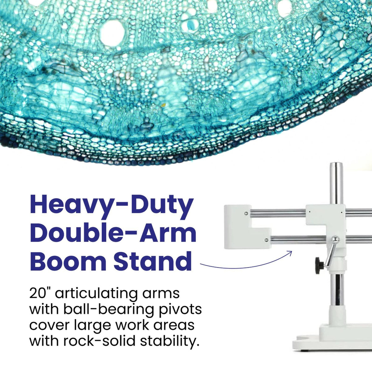 AmScope SM-4NTP four-inch working distance enables comfortable inspection space.