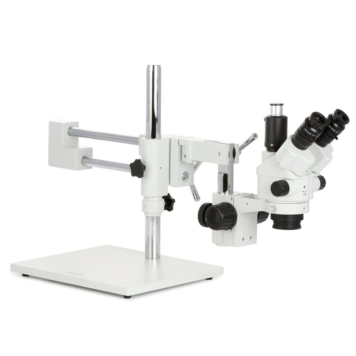 AmScope SM-4NTPX 10X eyepieces delivering a wide, comfortable field of view