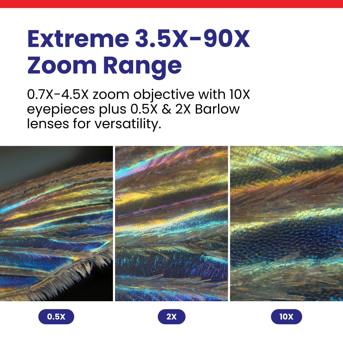 AmScope SM-4TPZ 10x eyepieces for sharp, wide field observation