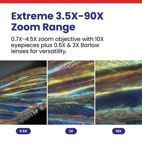 AmScope SM-4TPZ 10x eyepieces for sharp, wide field observation