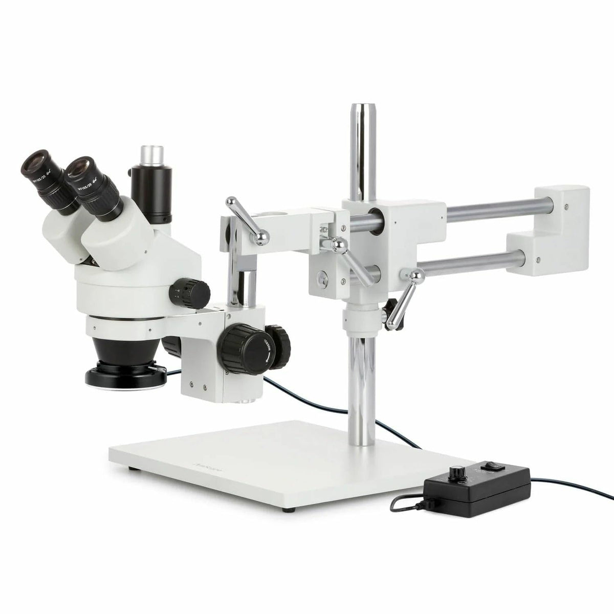AmScope SM-4TPZ-144 simul-focal trinocular port for camera-ready imaging.