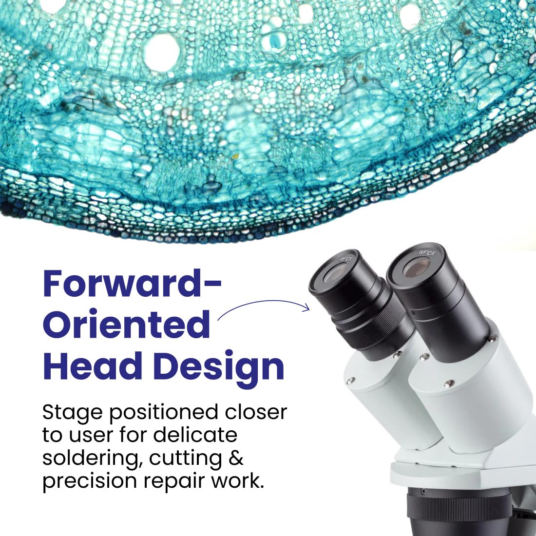 Amscope sturdy all-metal pillar stand supports precise observations