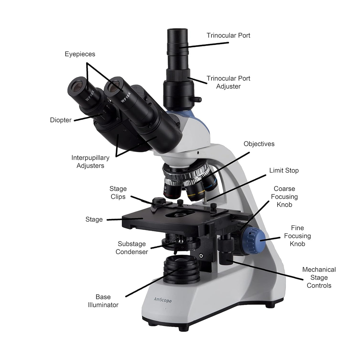 AmScope T250 5MP camera captures high-resolution images for documentation.
