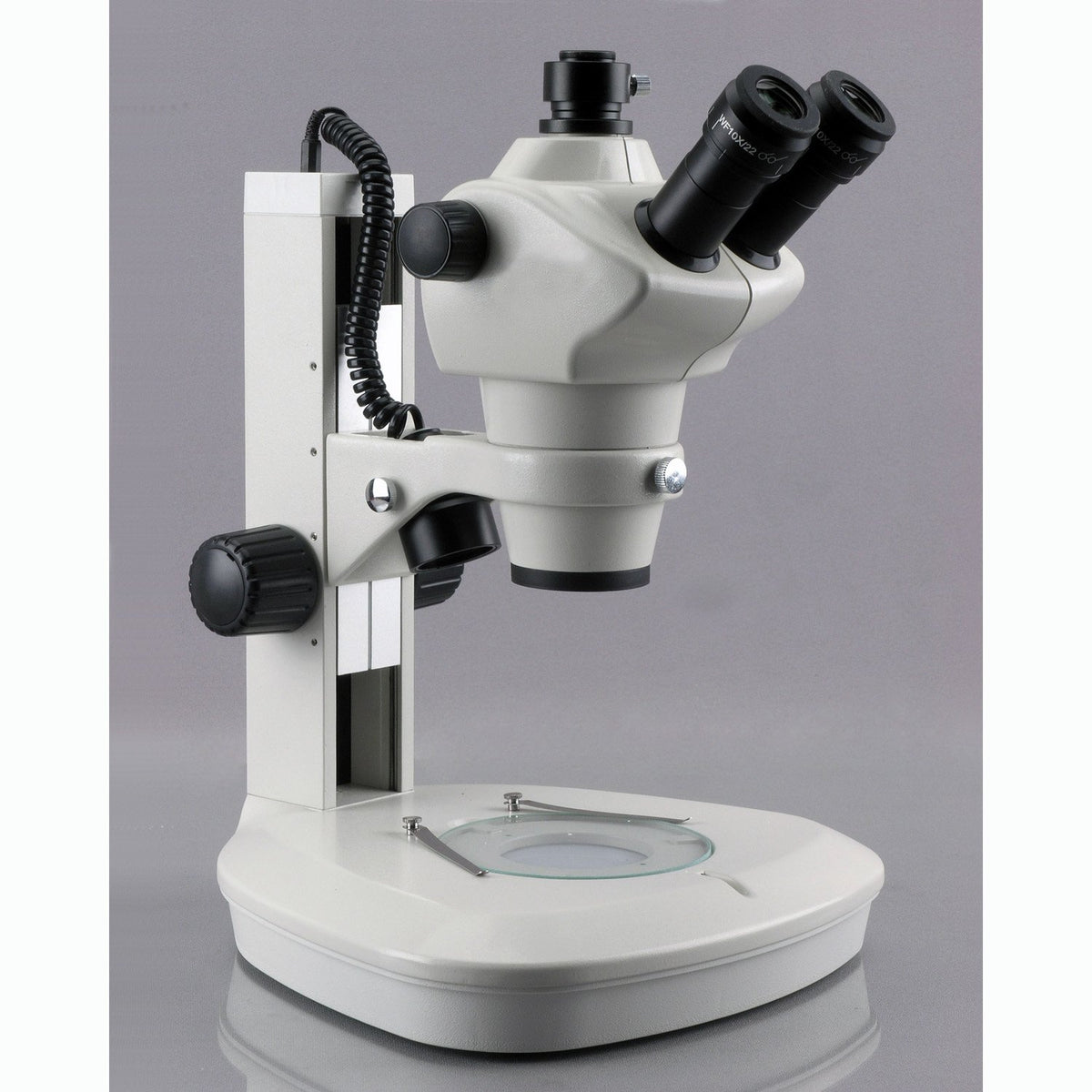AmScope top and bottom LED lights illuminate translucent specimens clearly.