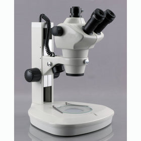 AmScope top and bottom LED lights illuminate translucent specimens clearly.