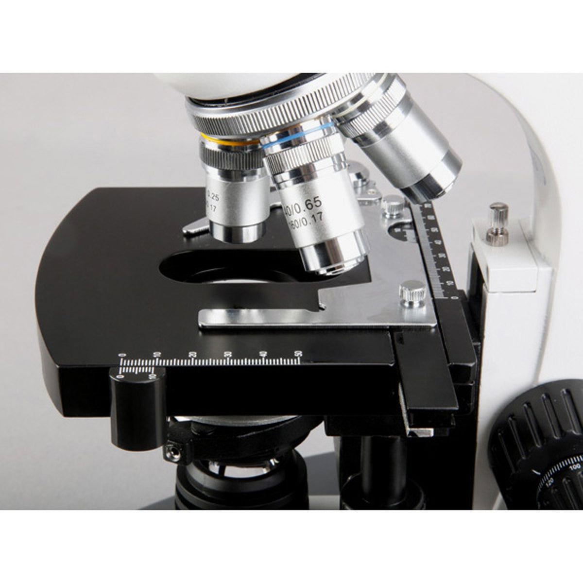 AmScope trinocular port enables easy photo or video capture.