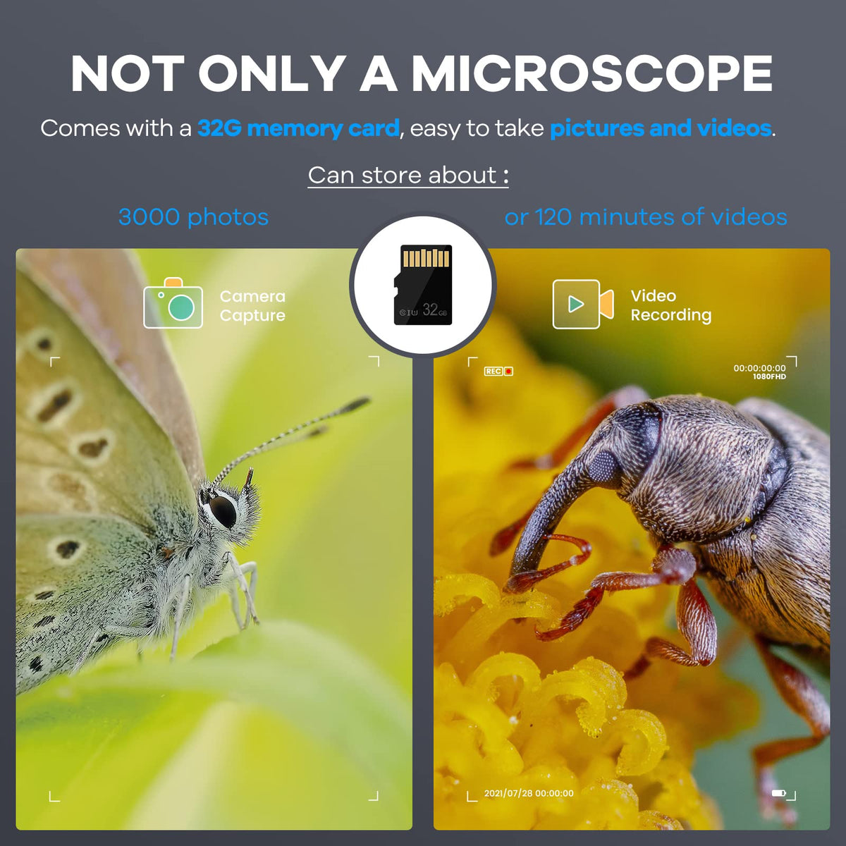 Andonstar AD203 suitable for coins and electronics inspection.