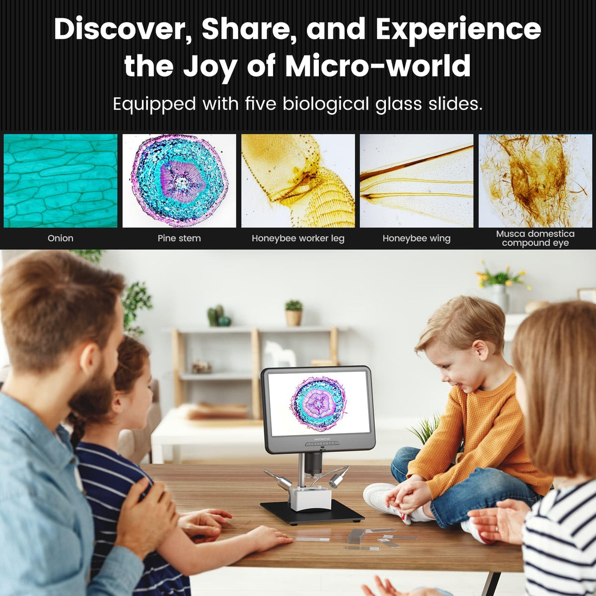 Andonstar AD210 all-purpose kit covers coins, electronics, and biology tasks.
