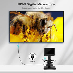 Andonstar AD246S-P HDMI output enables large-screen viewing for demonstrations