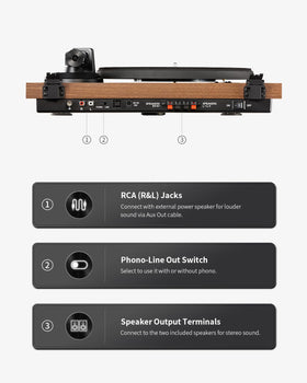 ANGELS HORN adjustable counterweight detail helps prevent skipping and distortion.