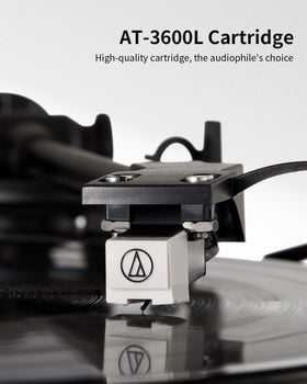 ANGELS HORN adjustable counterweight lets you tune playback balance.