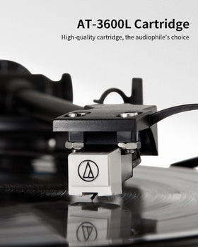 ANGELS HORN vinyl record player dust cover protects records and keeps the unit pristine