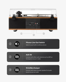 ANGELS HORN vinyl record player RCA out enables external speaker connection for bigger sound
