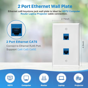 ANONION blue Cat6 keystone jack close-up with gold-plated pins for reliable signal contact