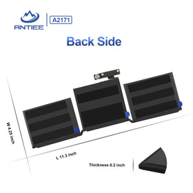 ANTIEE size comparison next to ruler showing compact form factor for easy installation