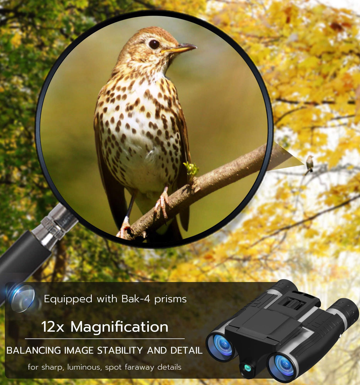 Anweller binoculars camera birdwatching-view supports wildlife observation with ease.