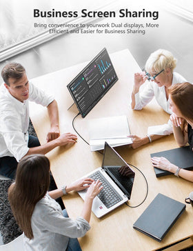 Anyuse 17.3-inch monitor dual USB-C ports for easy connectivity