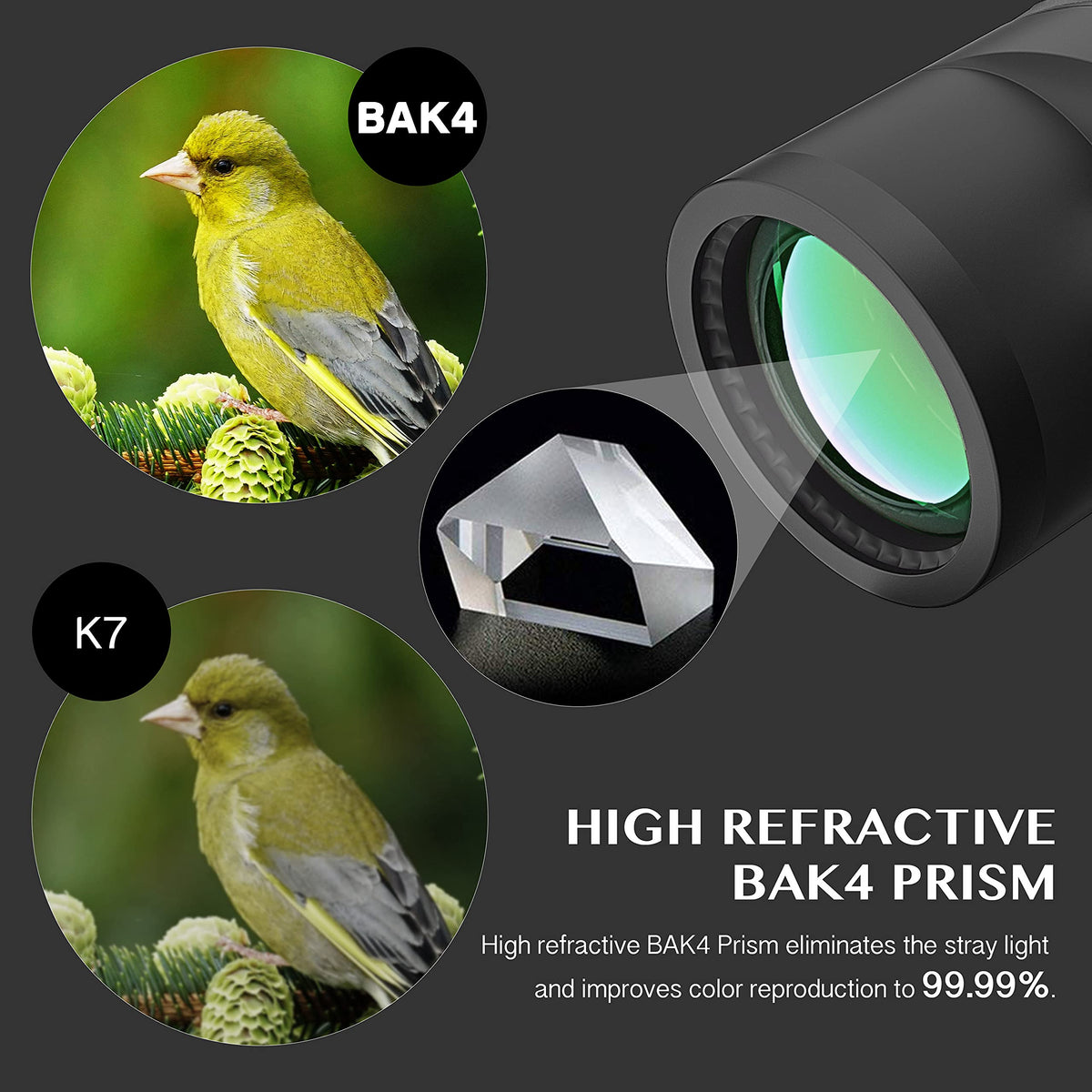 AOMEKIE 10x50 binoculars precise diopter adjustment system for comfortable viewing