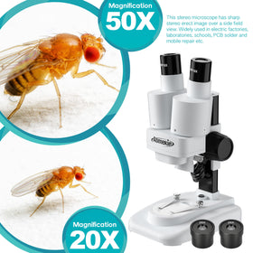 Aomekie microscope WF eyepieces provide comfortable viewing and sharp detail.