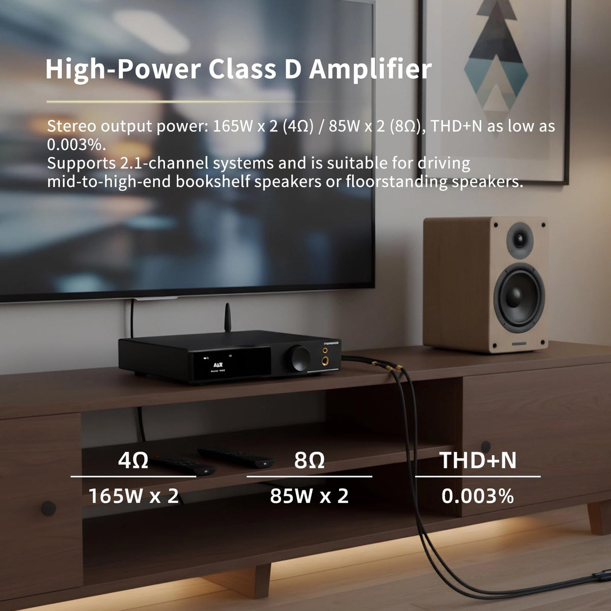AOSHIDA AO300 PRO coax input ready for digital source integration