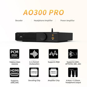 AOSHIDA AO300 PRO rear panel showing multiple inputs for versatile connectivity