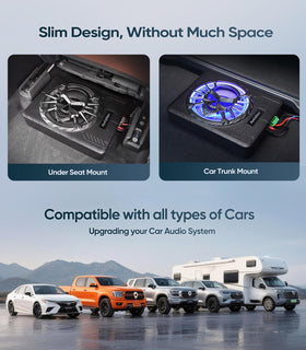 ApexNav RCA and high-level input ports for flexible connections