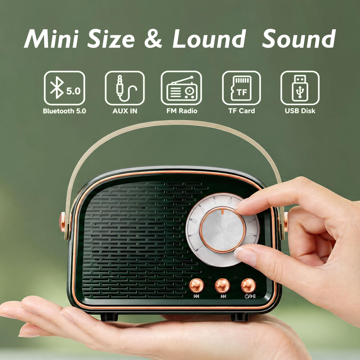 Aresrora retro Bluetooth speaker back panel, versatile connectivity options