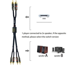 Arklove dual-amplifier friendly design allows flexible multi-speaker playback.