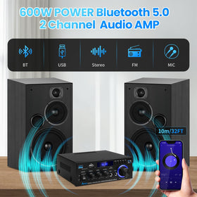 ARRAROWN AK45 rear inputs displaying RCA, power and connectivity benefits