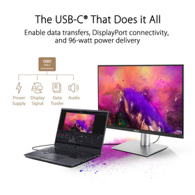 ASUS ProArt PA248CRV daisy-chain setup supports multi-monitor workflows