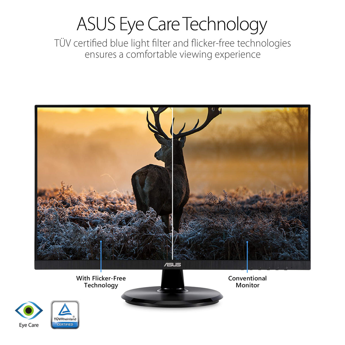 ASUS VA24DQ eye care features reduce eye strain during long sessions