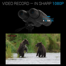 ATN Binox 4K night vision with IR illuminator for twilight viewing