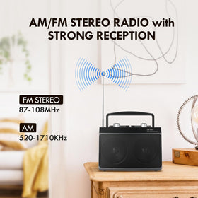 Audiocrazy radio back view illustrating dual power option and wall plug