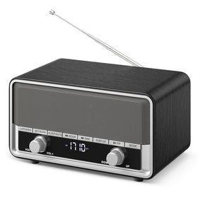 Audiocrazy front panel showing controls and wood finish for easy operation